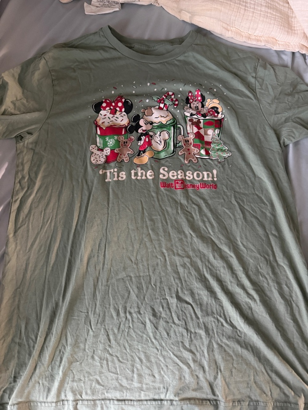 Walt Disney World 'Tis the Season! Graphic Tee - Sage Green